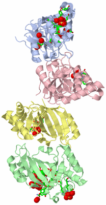 Image Asym. Unit - sites