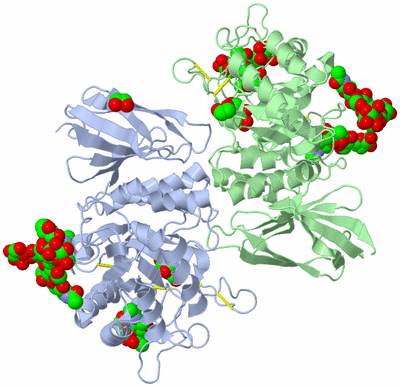 Image Asym./Biol. Unit