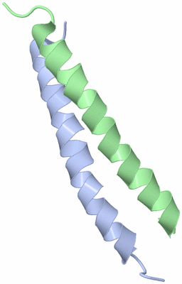 Image NMR Structure - model 1