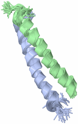 Image NMR Structure - all models