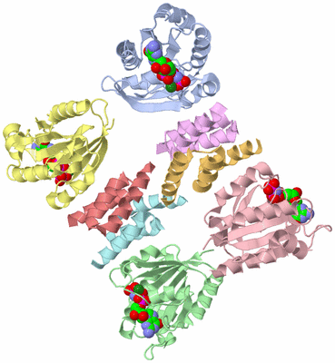 Image Asym./Biol. Unit