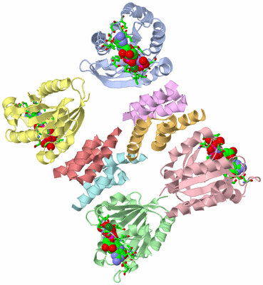 Image Asym./Biol. Unit - sites