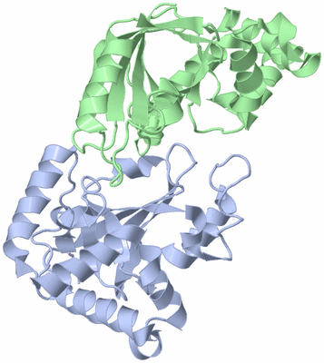 Image Asymmetric Unit