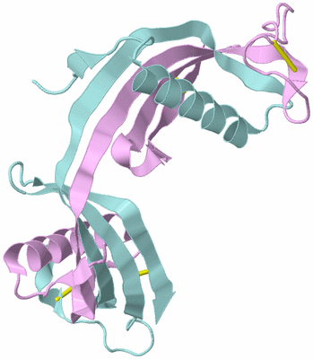 Image Biological Unit 3