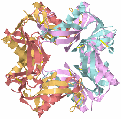 Image Biological Unit 6