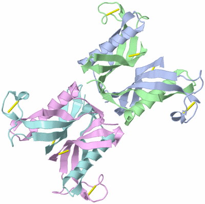 Image Biological Unit 7