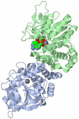 Image Asym./Biol. Unit