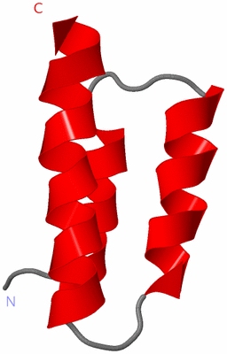 Image NMR Structure - model 1