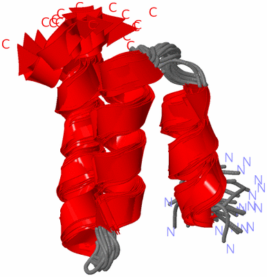 Image NMR Structure - all models