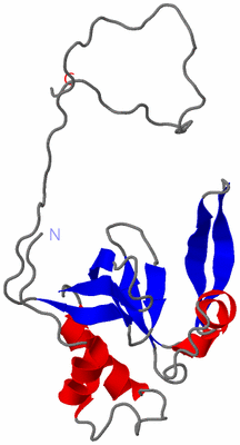 Image NMR Structure - model 1