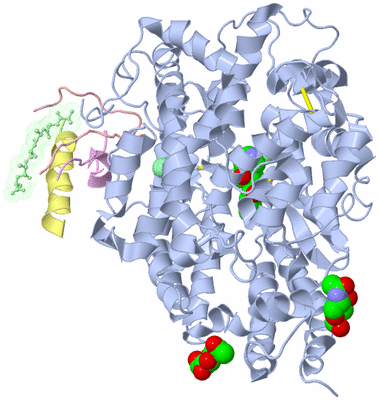 Image Asym./Biol. Unit