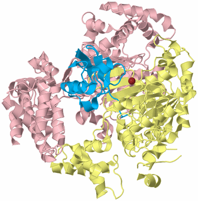 Image Biological Unit 2