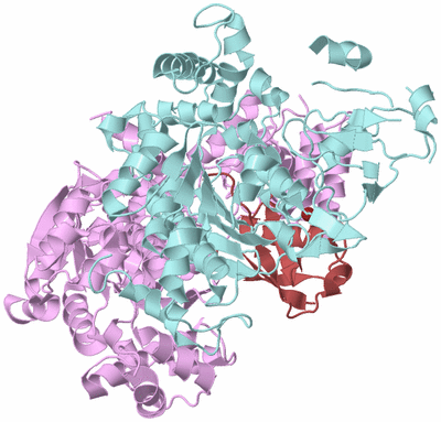 Image Biological Unit 3