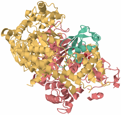 Image Biological Unit 4