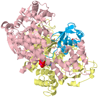 Image Biological Unit 2