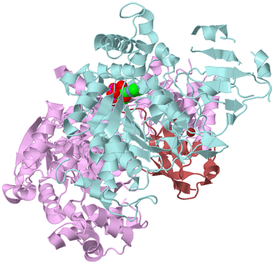 Image Biological Unit 3