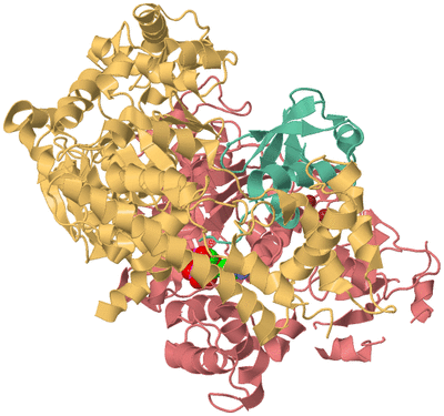 Image Biological Unit 4