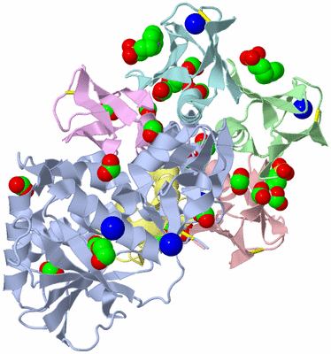 Image Asym./Biol. Unit