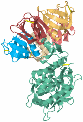 Image Biological Unit 2