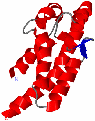 Image NMR Structure - model 1