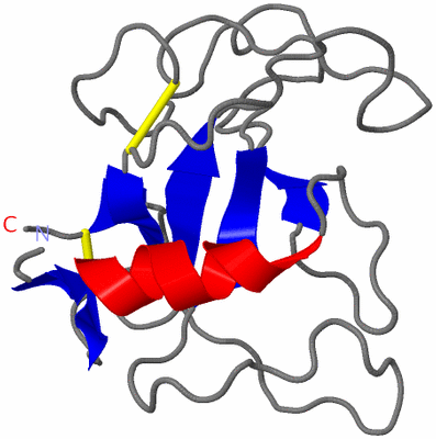 Image NMR Structure - model 1
