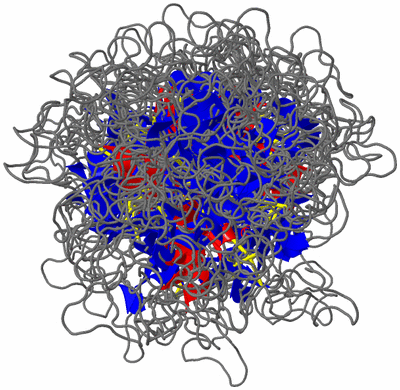 Image NMR Structure - all models