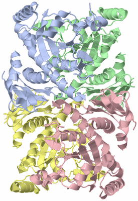 Image Asym./Biol. Unit