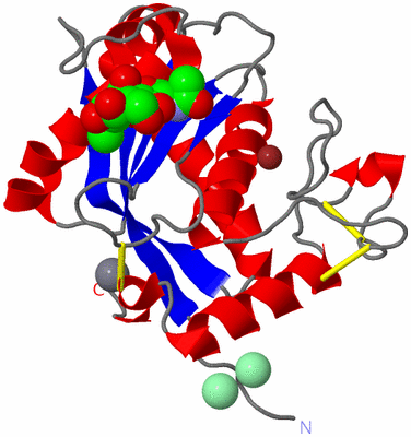 Image Asym./Biol. Unit