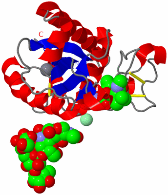 Image Asym./Biol. Unit