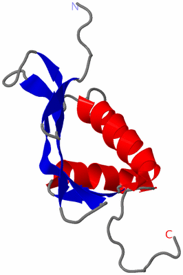 Image NMR Structure - model 1