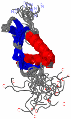 Image NMR Structure - all models