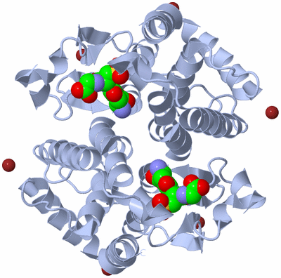 Image Biological Unit 1