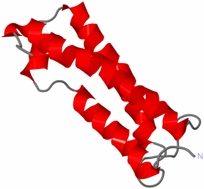 Image NMR Structure - model 1