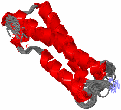 Image NMR Structure - all models
