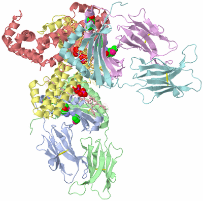 Image Asymmetric Unit