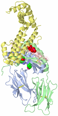 Image Biological Unit 1