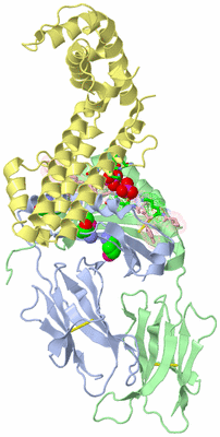Image Biol. Unit 1 - sites