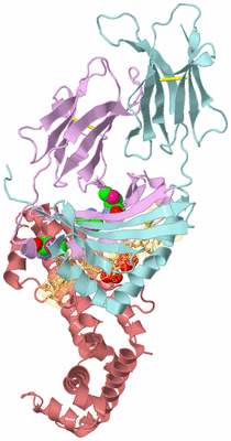 Image Biological Unit 2
