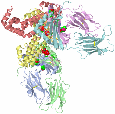 Image Asym. Unit - sites
