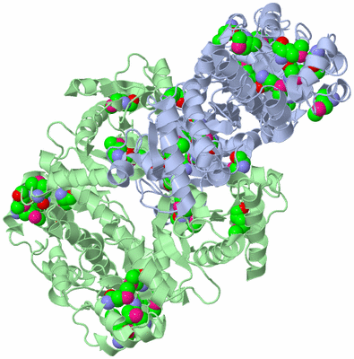 Image Biological Unit 2