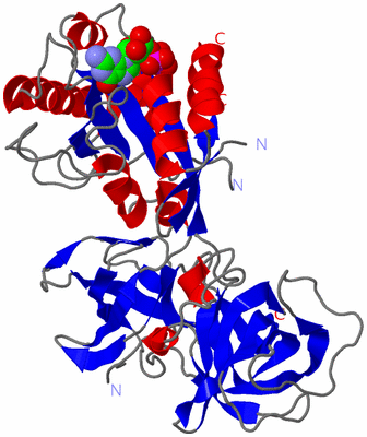 Image Asym./Biol. Unit