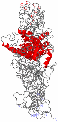 Image NMR Structure - all models