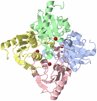 Image Asym./Biol. Unit