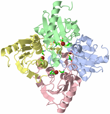 Image Asym./Biol. Unit - sites