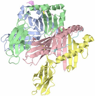 Image Asymmetric Unit