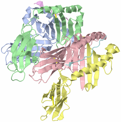 Image Biological Unit 1
