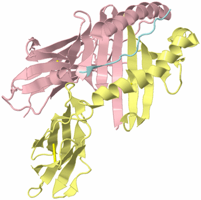 Image Biological Unit 3