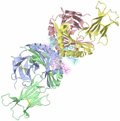 Image Biological Unit 1