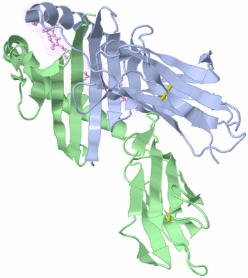 Image Biological Unit 3
