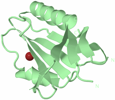 Image Biological Unit 2